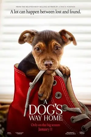 A Dog’s Way Home (2019) Dual Audio poster