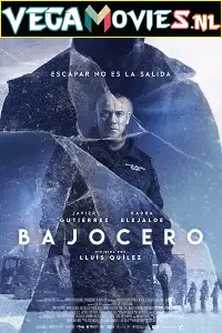 Below Zero (2021) Dual Audio ESubs poster