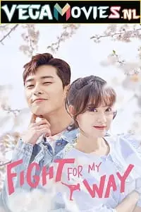 Fight For My Way (Season 1) Dual Audio Complete WEB Series poster