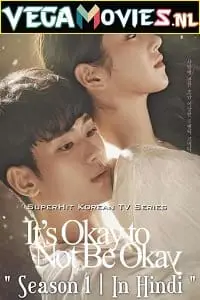 It’s Okay to Not Be Okay (Season 1) Dual Audio Complete Netflix Web Series poster