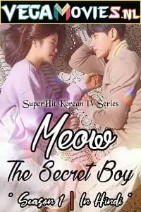 Meow the Secret Boy (2020) Season 1 Hindi Dubbed Complete MX Player WEB Series poster