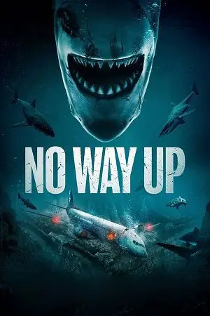 No Way Up (2024) Dual Audio poster