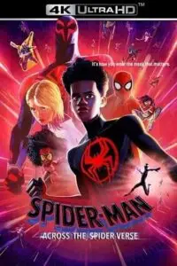 Spider-Man: Across the Spider-Verse (2023) Dual Audio | | | SDR poster