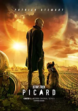 Netflix Star Trek: Picard (2020) Season 1 Hindi {All Episodes} poster