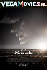 The Mule (2018) English With Subtitles poster